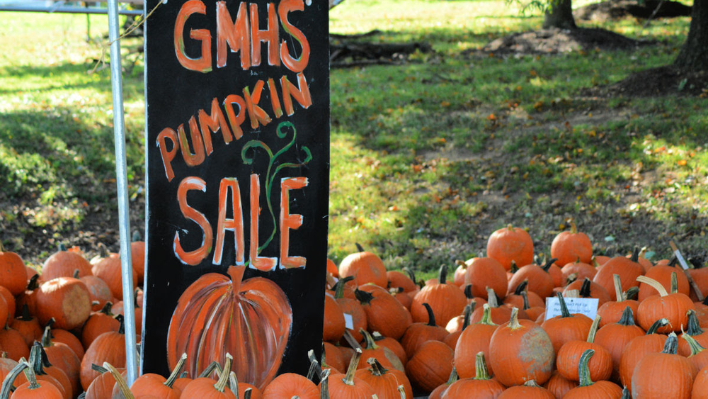 Buy A Pumpkin at GM, Enter the Annual Pumpkin Carving Contest at TJ
