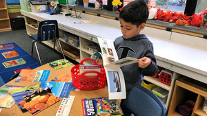 Picking Out a Good Book